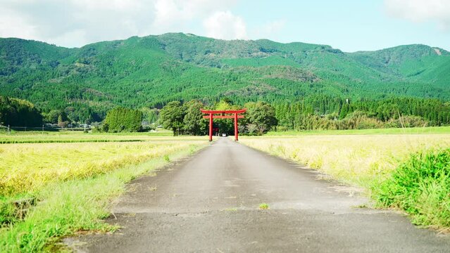 宮崎県菅原神社の田んぼの中に立つ鳥居