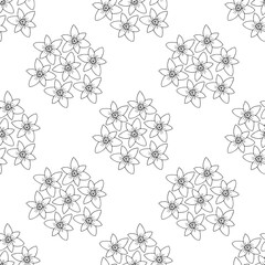 Seamless pattern with hand drawn narcissus heads on white background. Botanical floral vector illustration
