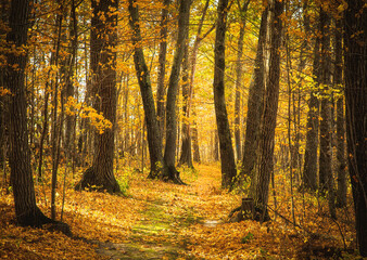 Lost Creek Hiking Trail