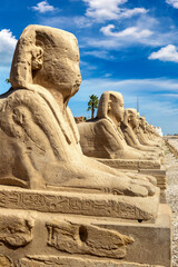 Sphinx Allee in Luxor, Egypt