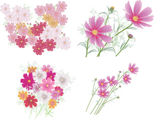Obraz na płótnie Canvas コスモスの花とカスミ草セット