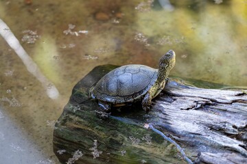 Obraz premium San Diego