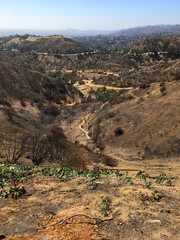 Dusty hiking trail leading through Griffith Park in Los Angeles, California