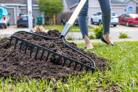 Woman raking soil into lawn