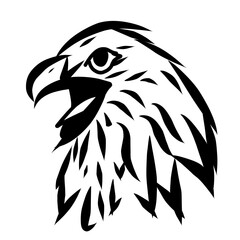 sketch face eagle