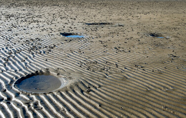 Fototapeta na wymiar Low tide at Sandgate with Stingray craters.