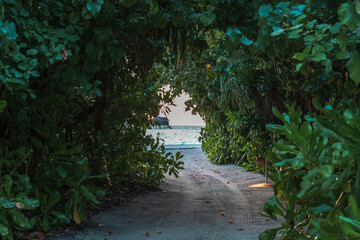 바다로 이어진 숲길, 몰디브
