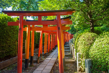 東京・根津神社