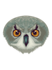 Owl face cartoon