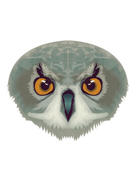 Owl face cartoon
