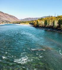 nature of the Altai mountains