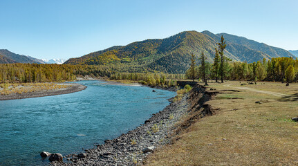 nature of the Altai mountains