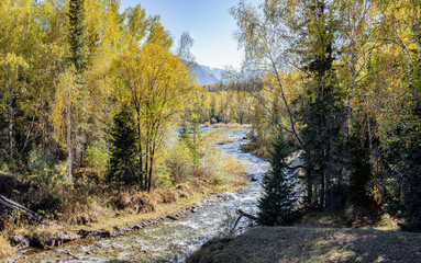 nature of the Altai mountains
