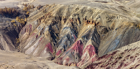 nature of the Altai mountains