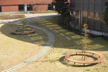 同志社大学の庭
