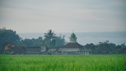 Moesque with village house with rice field foreground