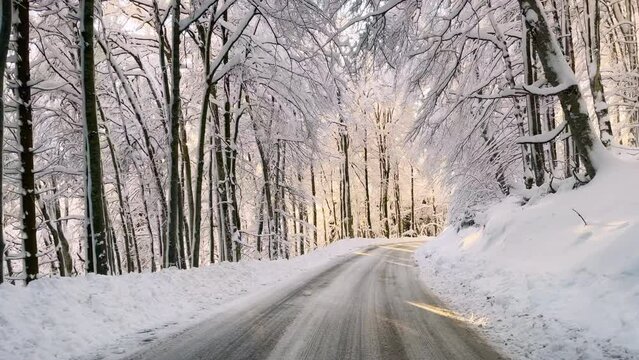 SLOW MOTION: Driving along plowed road surrounded by snow-covered forest trees. Beautiful winter day after a fresh snowfall. Careful drive along slippery winding winter road through snowy woodland.