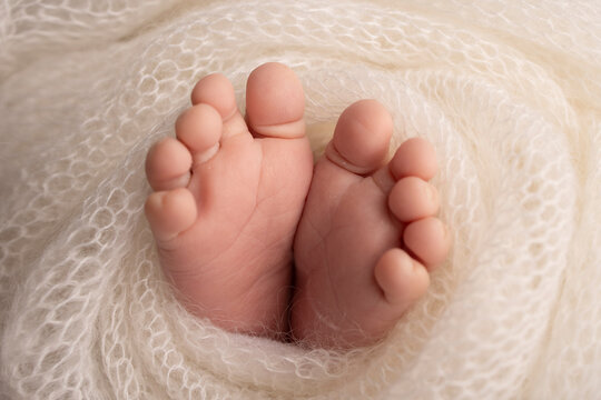 The tiny foot of a newborn. Soft feet of a newborn in a white woolen blanket. Close up of toes, heels and feet of a newborn baby. Studio Macro photography. Woman's happiness.