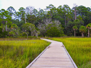 Boardwalk through a grassy swamp in Georgia