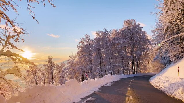 SLOW MOTION: Gorgeous day for drive through hilly countryside with fresh snowfall. Winter sunbeams peeking through a fairy-tale snowy forest while driving along winding plowed asphalt mountain road.