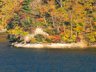 奥利根湖の紅葉