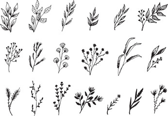 Big set of New collection of Floral vector with hand drawn, exclusive design. 