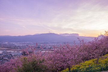 Obraz na płótnie Canvas mountain and sunset view