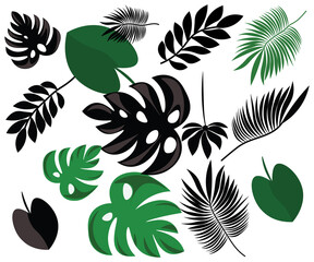 set of black and green leaves
