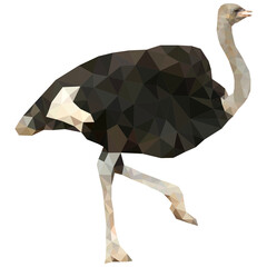Ostrich Polygon