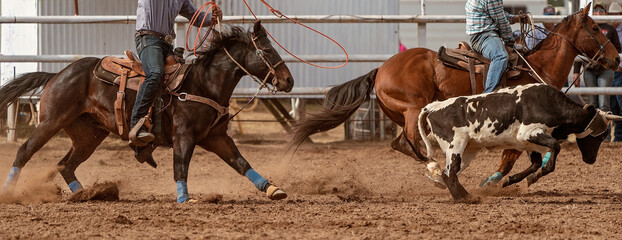 Calf Roping Event At An Australian Country Rodeo