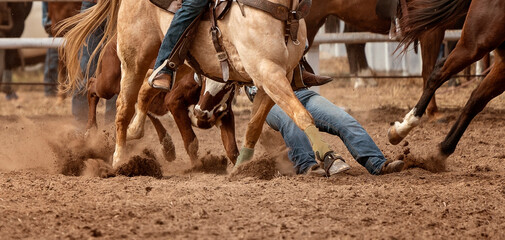 Calf Being Wrangled To The Dirt In An Australian Country Rodeo Event