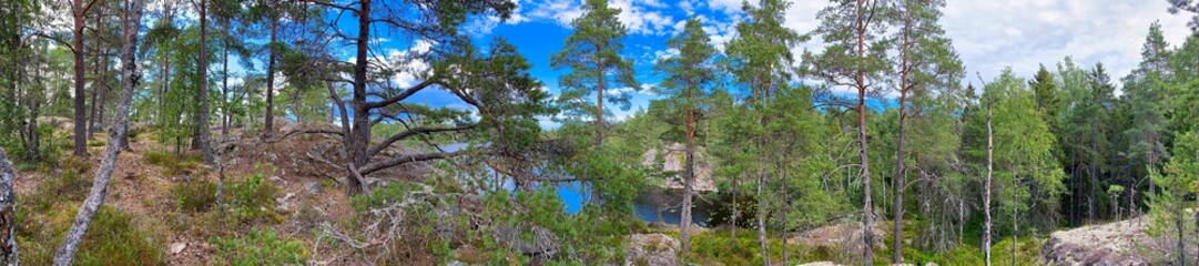 Fototapeta na wymiar Panoramic photo of a lake in the forest of the Swedish nature