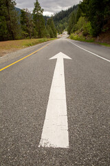 Fototapeta premium Painted arrow on road through green forest