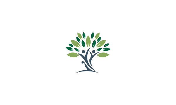 
Family Tree Logo Design With Tree And Leaves