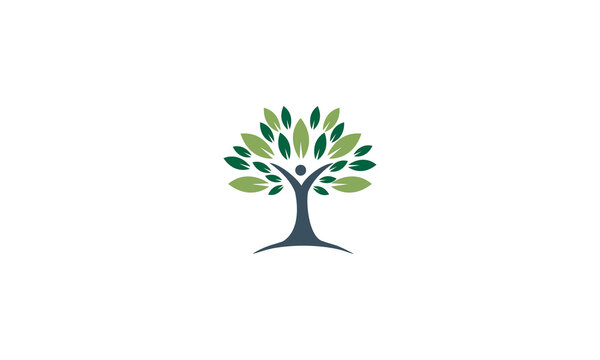 
Tree of life Logo Design With Tree And Leaves