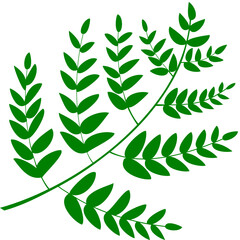 branch of leaves vector