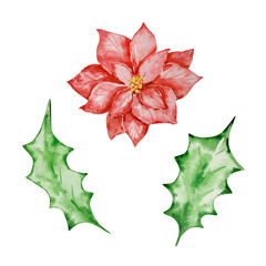 Watercolor set of winter floral