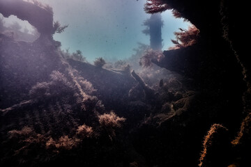 underwater view of the remains of a sunken ship covered in algae. sea ​​view underwater