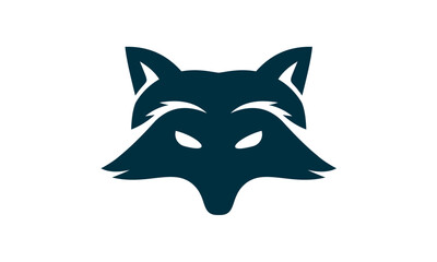 RACOON head isolated on white