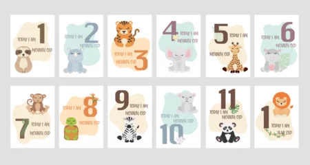 Foto op Plexiglas Newborn baby Milestone card. Baby Milestone cards with Safari animals - giraffe, elephant, tiger, hippo, panda, koala, sloth, rhinoceros, turtle, lion, zebra and monkey. 1-11 months and 1 year.  © Dysenkart