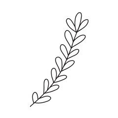 Hand drawn minimalist branch with round leaves. Black contour line outline vector illutration in minimal doodle style. Winter holidays floral clip art, greenery