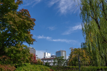 東京赤坂にある東京ミッドタウンの紅葉