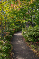 紅葉の小径