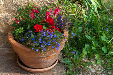Flowerpot as a decoration in a country house.