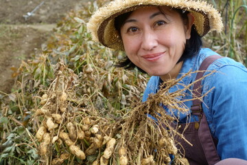 落花生の収穫作業をする女性