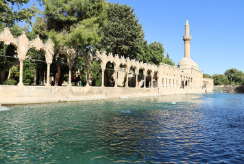 Lake with sacred carps in TURKEY. High quality photo