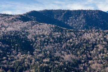 秋の高原の風景
