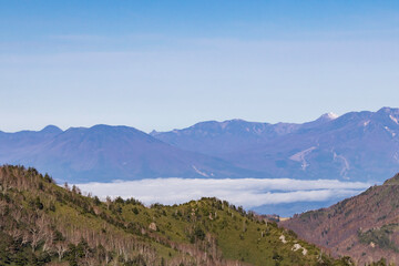 秋の高原の風景