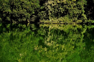 奈良県の城，郡山城跡，郡山城天守台展望施設，日本100名城，, 建築, 旅行, 空, 木, 道, 風景, 景色, 観光, 自然