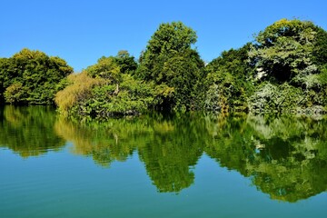 Fototapeta premium 奈良県の城，郡山城跡，郡山城天守台展望施設，日本100名城，, 建築, 旅行, 空, 木, 道, 風景, 景色, 観光, 自然